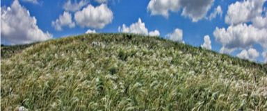 Parte il progetto del Parco Nazionale Alta Murgia, MISE e Infratel Italia per potenziare la connettività Wi-Fi nelle masserie del territorio