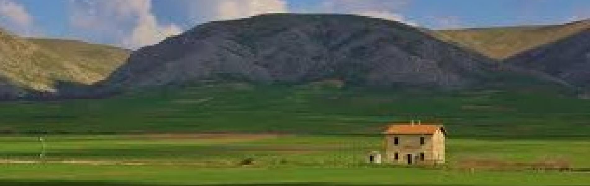 Wi-Fi nel Parco dell'Alta Murgia grazie alla Convenzione  tra il Ministero dello Sviluppo economico, Infratel, Regione Puglia e l'ente del Parco