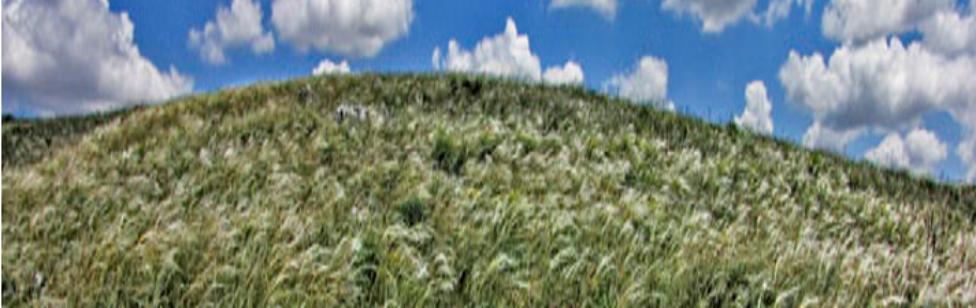 Parte il progetto del Parco Nazionale Alta Murgia, MISE e Infratel Italia per potenziare la connettività Wi-Fi nelle masserie del territorio